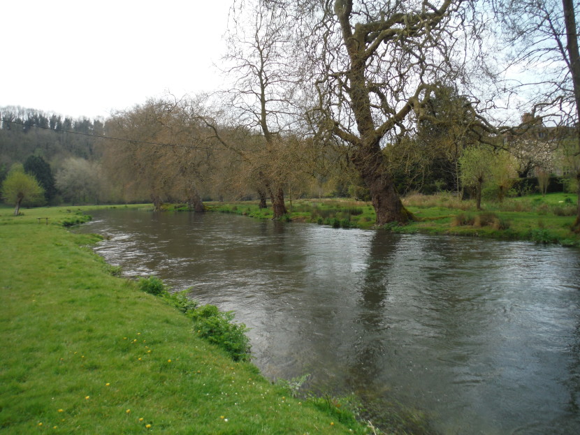 Heale under the plane trees